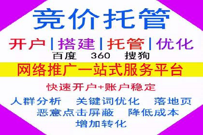 深入解析SEM竞价托管的成功案例